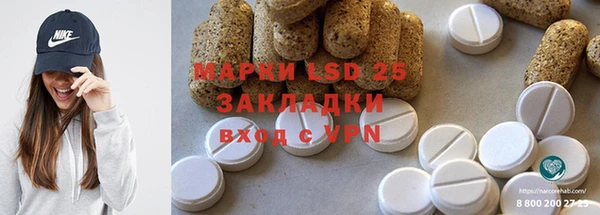 прущие грибы Волоколамск