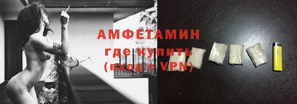 прущие грибы Волоколамск