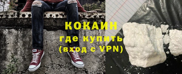 прущие грибы Волоколамск