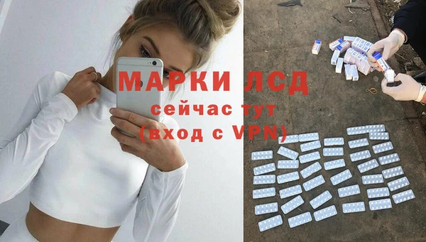 прущие грибы Волоколамск