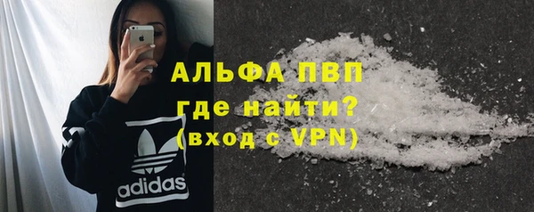 прущие грибы Волоколамск