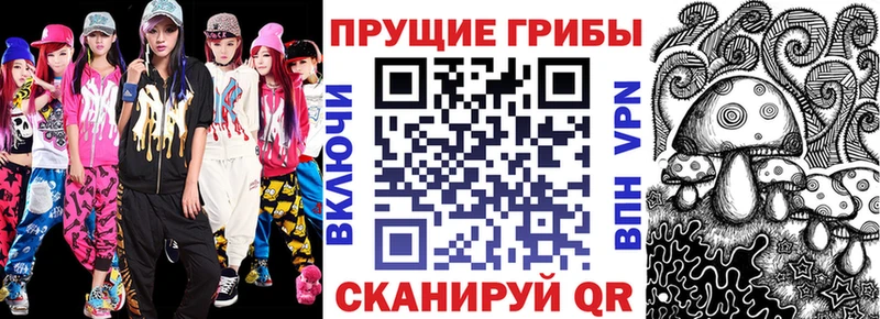 Псилоцибиновые грибы Psilocybine cubensis  Купить где  Анжеро-Судженск 